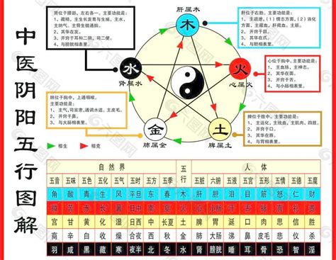 五行對應五臟|【五行 五臟六腑】掌握中醫五行陰陽！看懂五行與五。